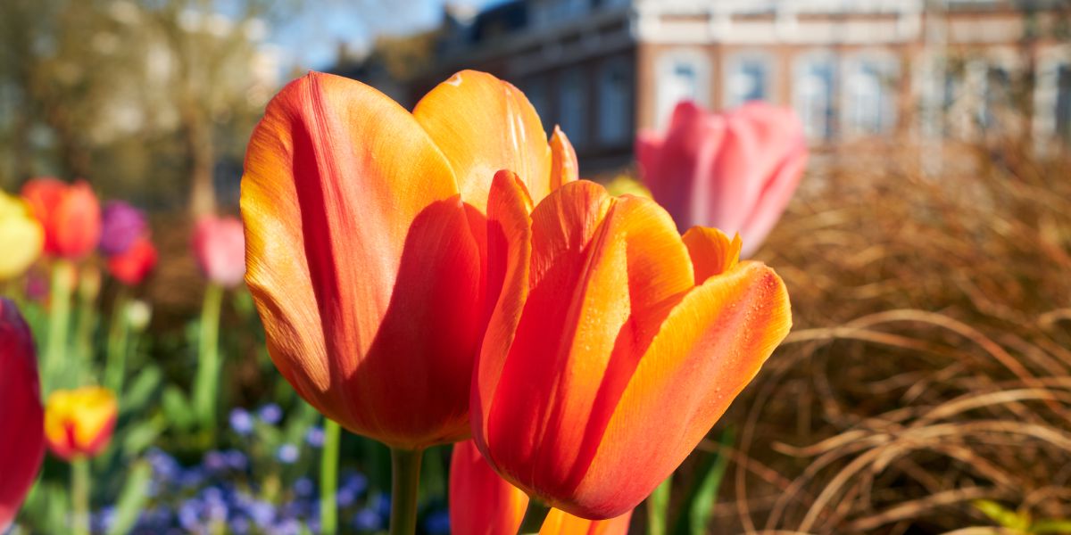 Confinement - partie 5